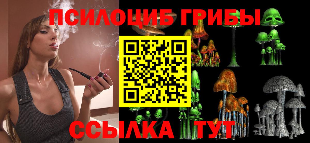Псилоцибиновые грибы Psilocybe  Псилоцибиновые грибы ЛСД  хочу   Вход с VPN  Казань 
