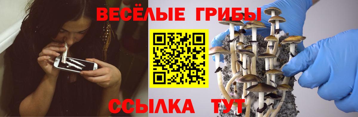Псилоцибиновые грибы Magic Shrooms Казань